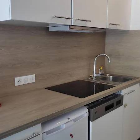 Au Pied Des Pistes Avec Parking - 4 Pers, 20m², - Fr-1-689-124 *